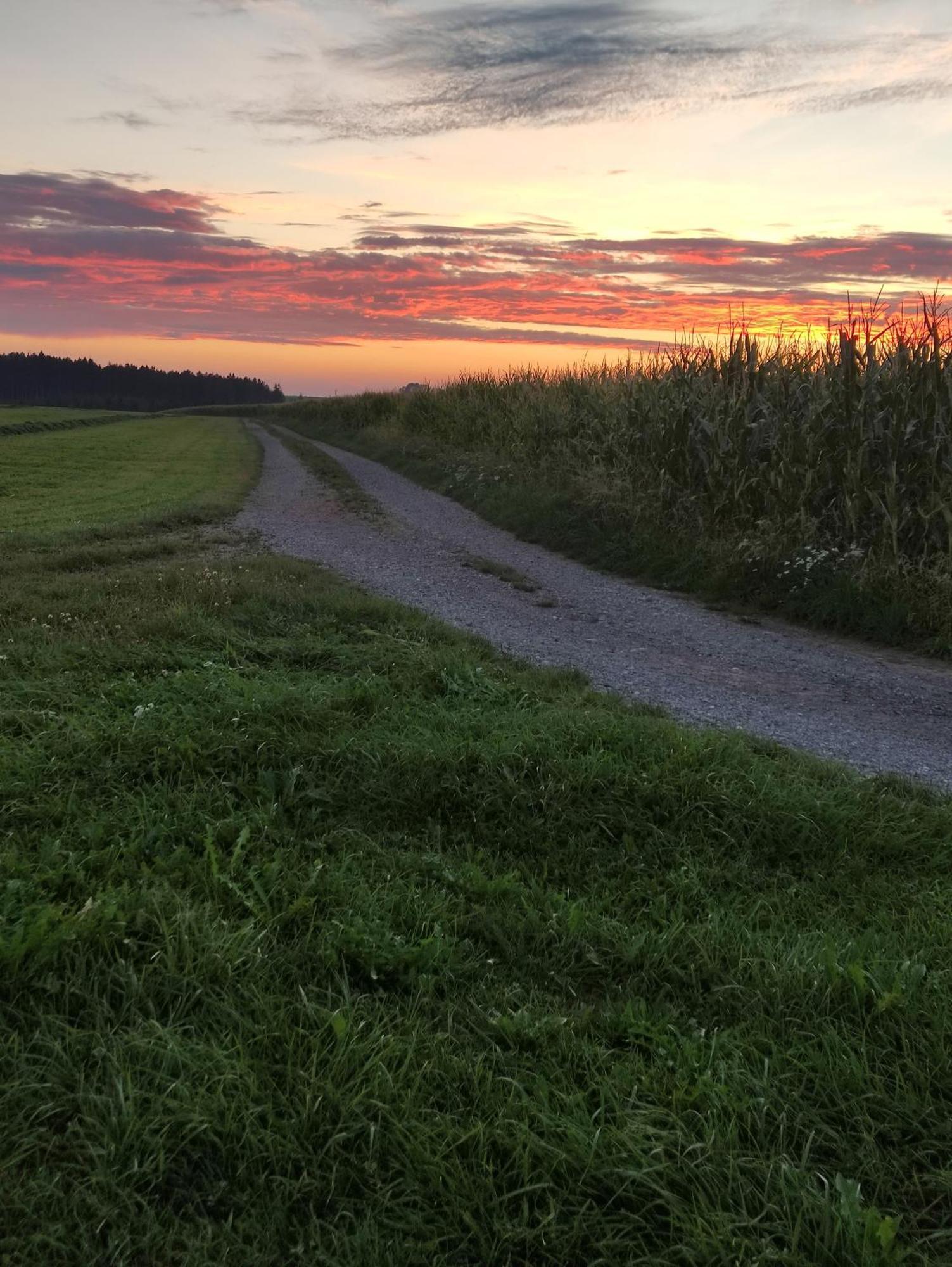 Secret Paradise Lägenhet Ronsberg Exteriör bild